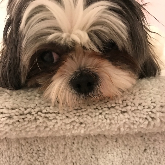 Meet your Posher, Jaimi - Picture 1 of 1